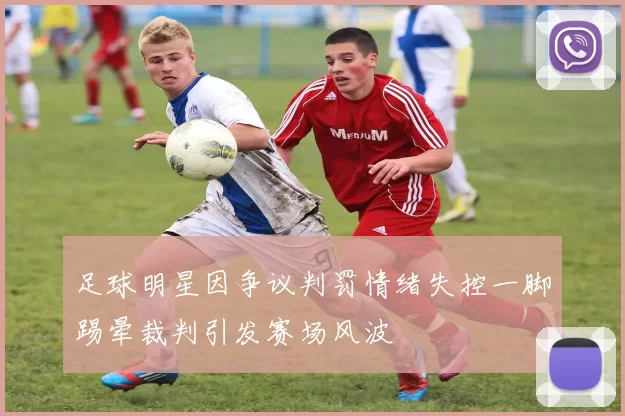 足球明星因争议判罚情绪失控一脚踢晕裁判引发赛场风波