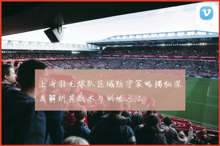 上海羽毛球队区域防守策略揭秘深度解析其战术与训练方法